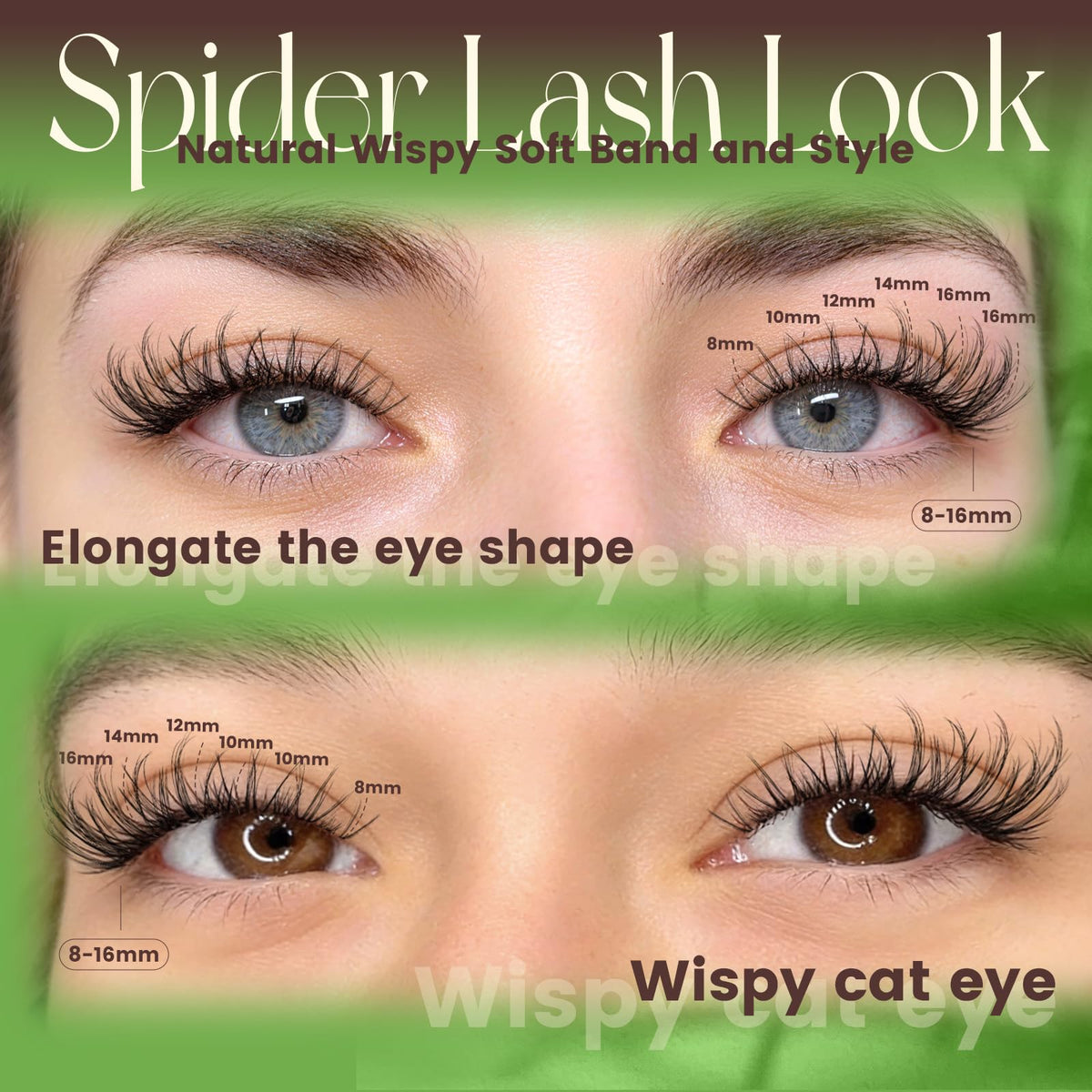 Nova Spider Lash Kit & Refill