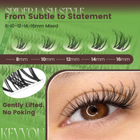 Nova Spider Lash Kit & Refill