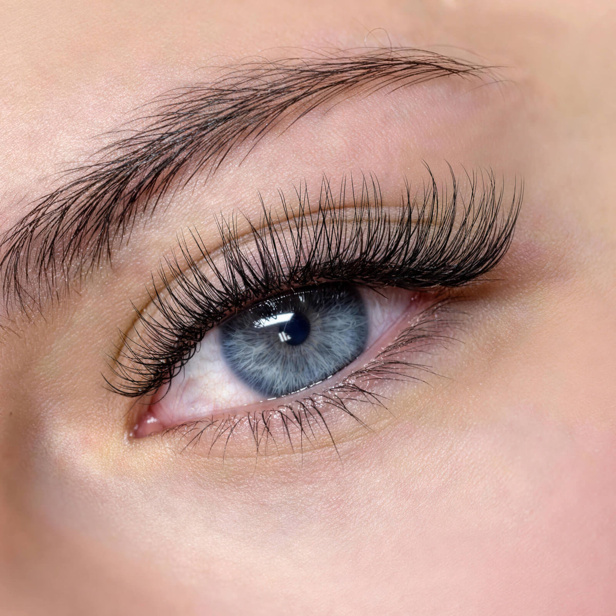 Venus Single Length 8-16mm